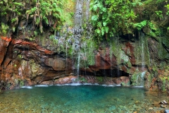 2020-09-12-13.27.03-1