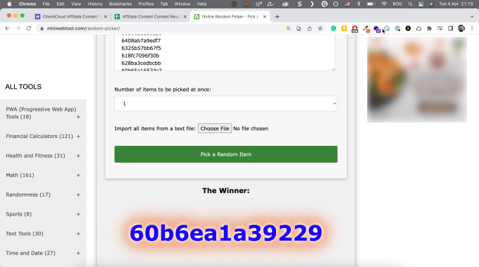 Affiliate Content Contest Winnter