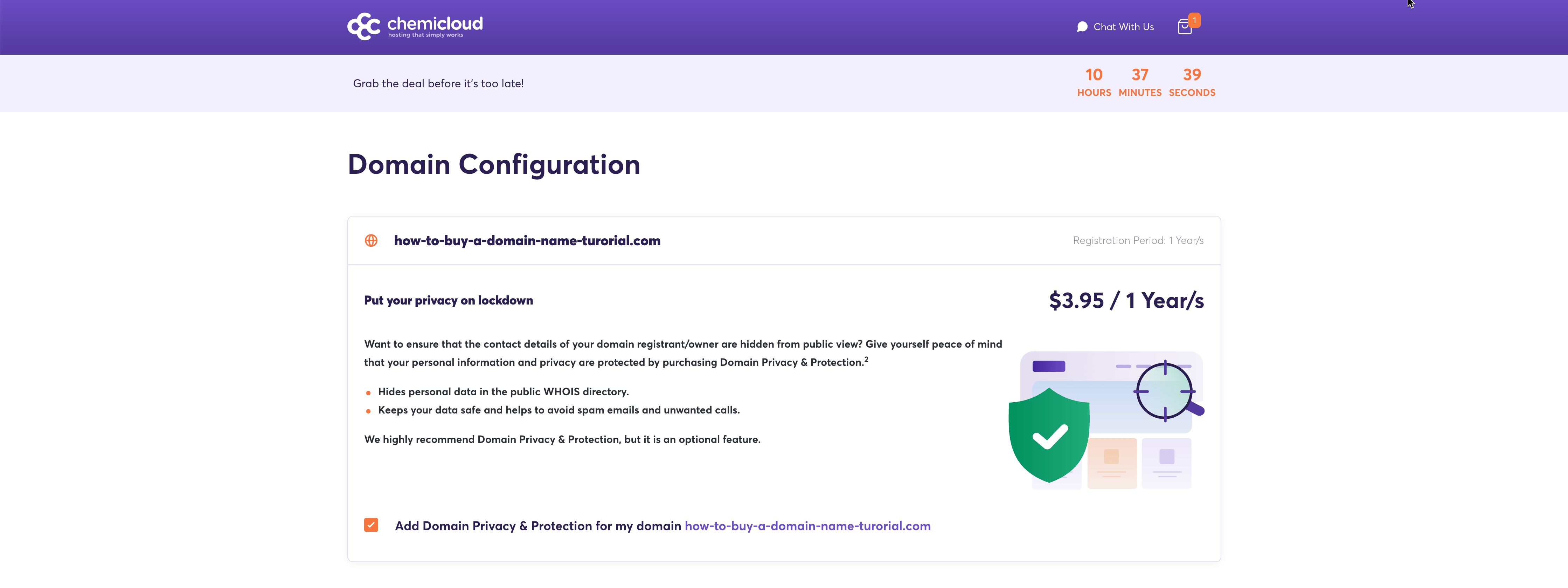 Domain Privacy Protection