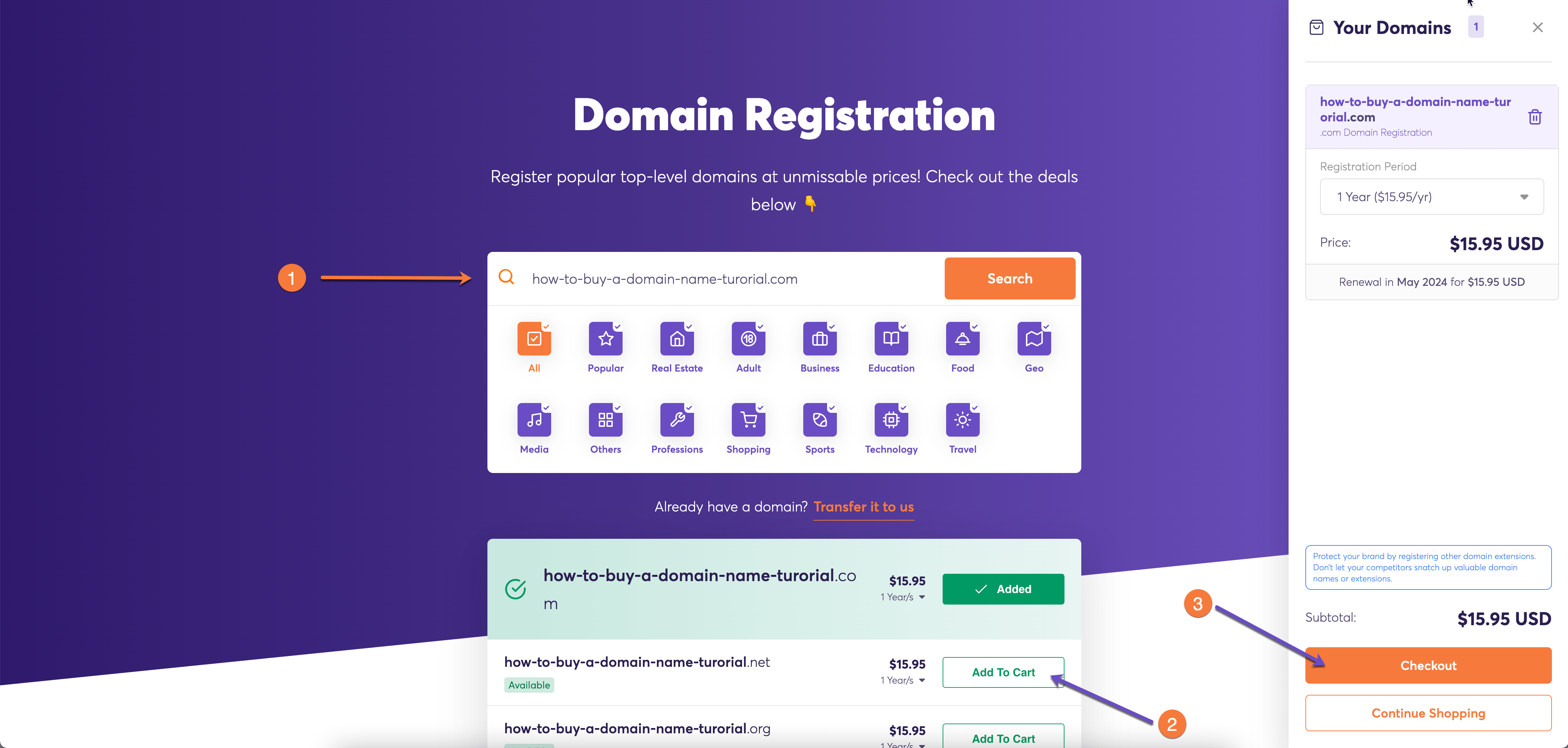 Domain Registration Steps