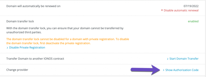 Ionos Domain Authorization Code
