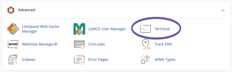Terminal in cPanel